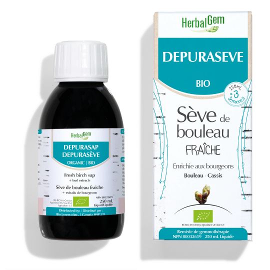 Sève de bouleau fraîche - Cassis et Bouleau